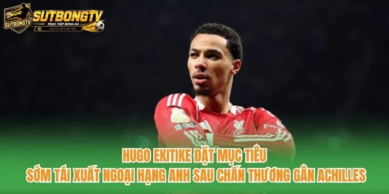 Hugo Ekitike đặt mục tiêu sớm tái xuất Ngoại hạng Anh sau chấn thương gân Achilles Hugo Ekitike đặt mục tiêu sớm tái xuất Ngoại hạng Anh sau chấn thương gân Achilles